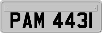PAM4431