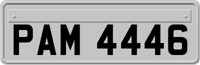 PAM4446