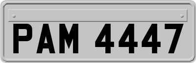 PAM4447