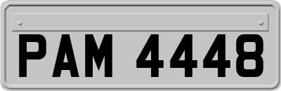 PAM4448