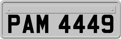 PAM4449
