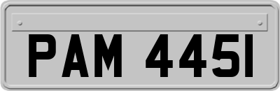 PAM4451