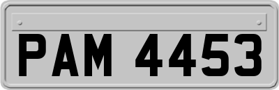 PAM4453