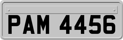 PAM4456