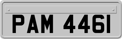 PAM4461