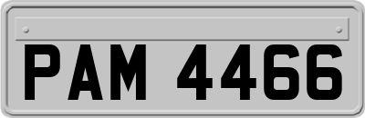 PAM4466