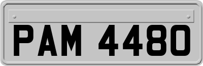 PAM4480