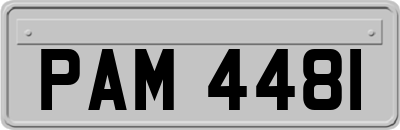 PAM4481