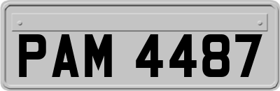 PAM4487