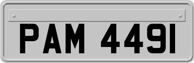 PAM4491