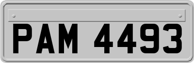 PAM4493
