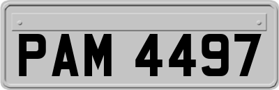 PAM4497