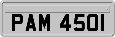 PAM4501