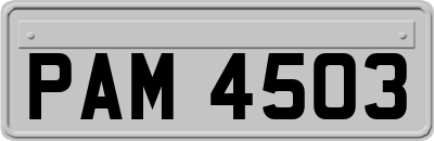 PAM4503