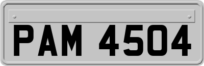 PAM4504
