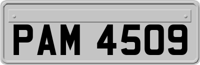 PAM4509
