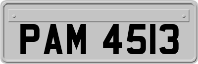 PAM4513