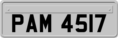 PAM4517