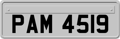 PAM4519