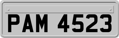 PAM4523
