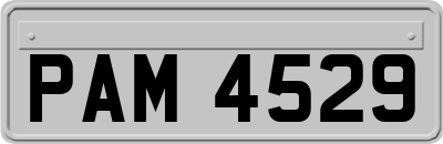 PAM4529