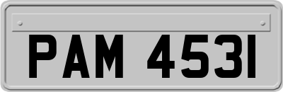 PAM4531