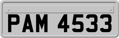 PAM4533