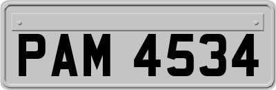 PAM4534