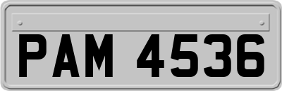 PAM4536