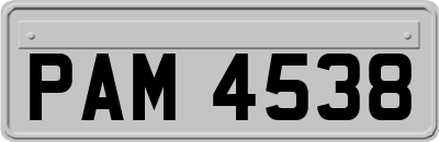PAM4538