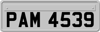 PAM4539