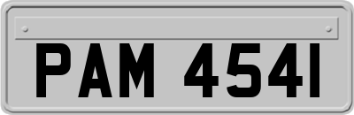 PAM4541