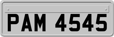 PAM4545