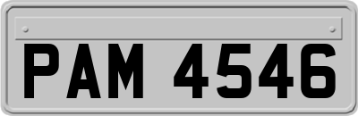PAM4546