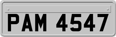 PAM4547