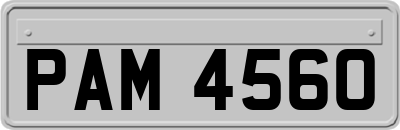 PAM4560