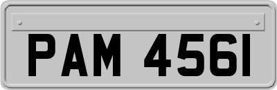PAM4561