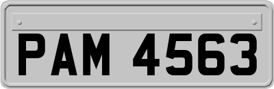 PAM4563