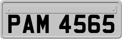 PAM4565