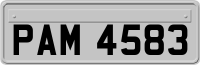 PAM4583