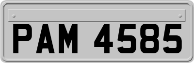 PAM4585