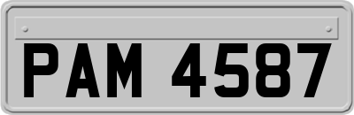 PAM4587