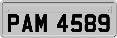 PAM4589