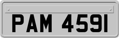 PAM4591