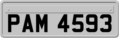 PAM4593
