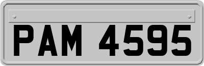 PAM4595