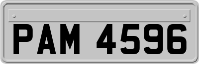PAM4596