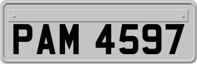PAM4597