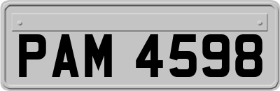 PAM4598