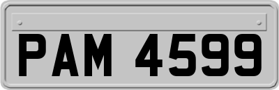 PAM4599